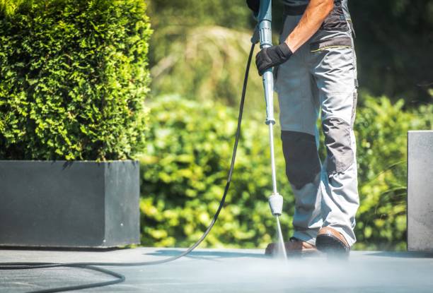 Best Roof Washing  in West Hills, NY